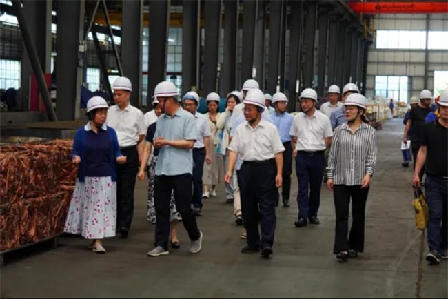 全国人大环境与资源保护委员会副主任委员吕忠梅一行莅临九游老哥j9新材调研座谈